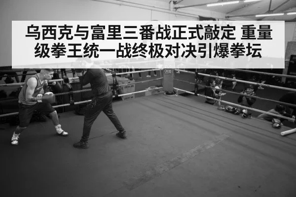 boxer training gym